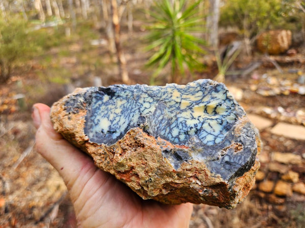 Polished Dendritic Opal DO195