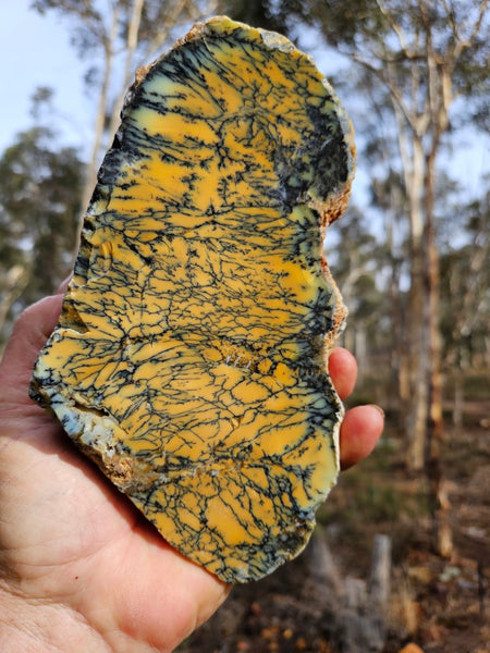 Polished Dendritic Opal DO195