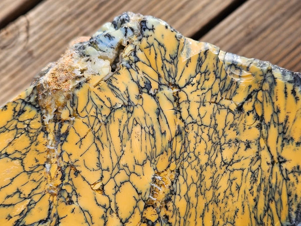 Polished Dendritic Opal DO195