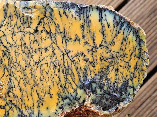 Polished Dendritic Opal DO195