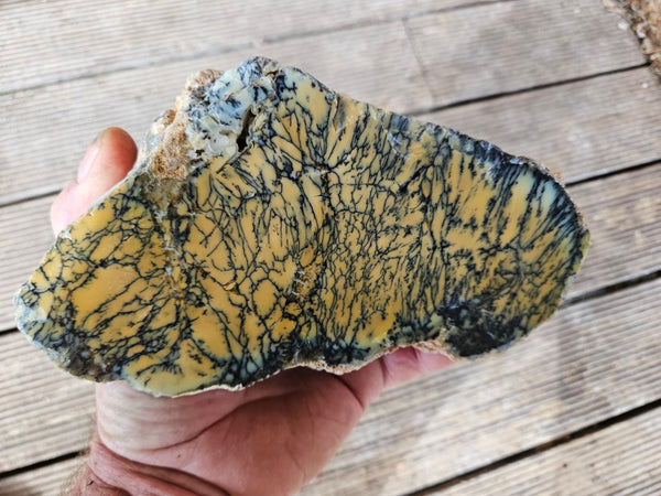 Polished Dendritic Opal DO195