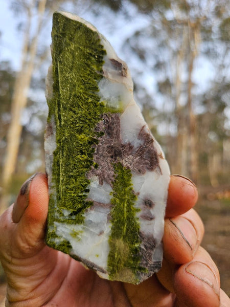 Epidote, Quartz & Axinite slab EPI69