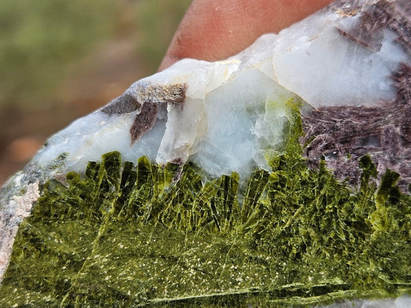 Epidote, Quartz & Axinite slab EPI69