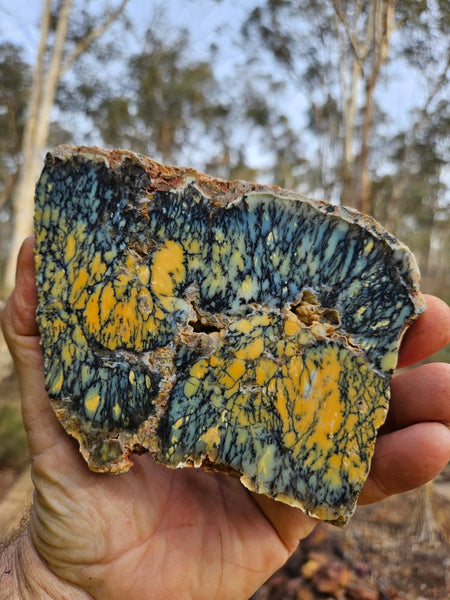 Polished Dendritic Opal slab DO194