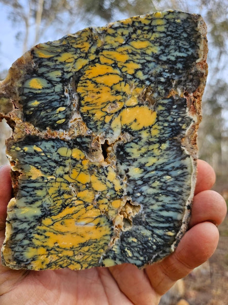 Polished Dendritic Opal slab DO194