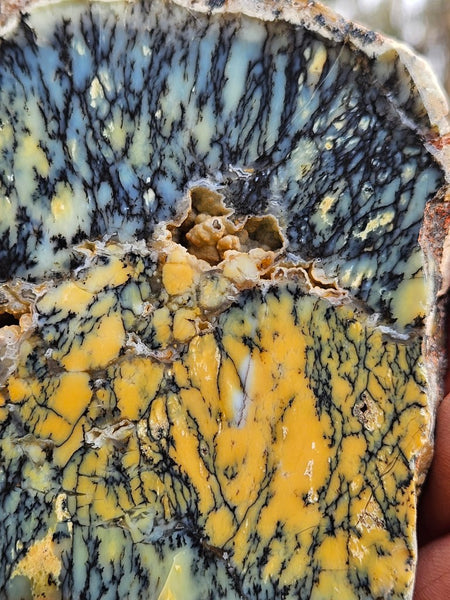 Polished Dendritic Opal slab DO194