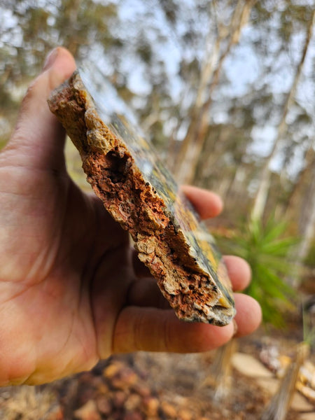 Polished Dendritic Opal slab DO194