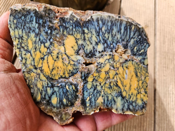 Polished Dendritic Opal slab DO194