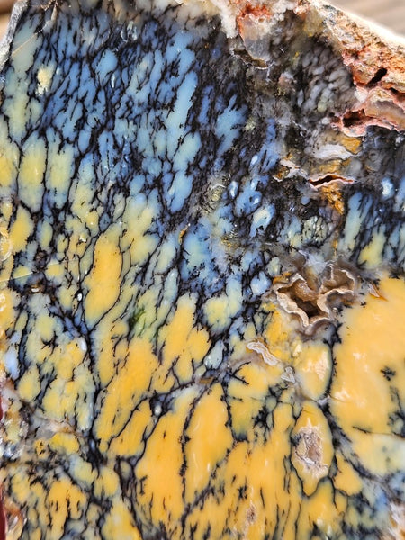 Polished Dendritic Opal slab DO194