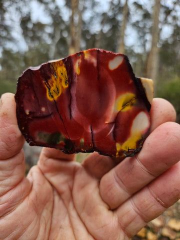 Polished Mookaite slab MK474