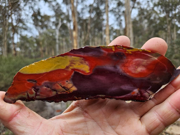 Polished Mookaite slab MK475