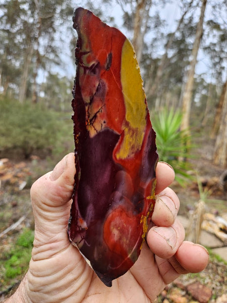 Polished Mookaite slab MK475