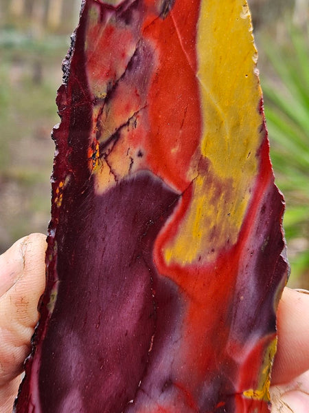 Polished Mookaite slab MK475