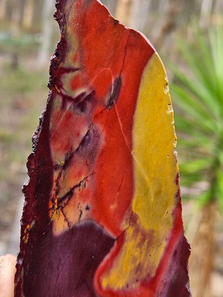 Polished Mookaite slab MK475