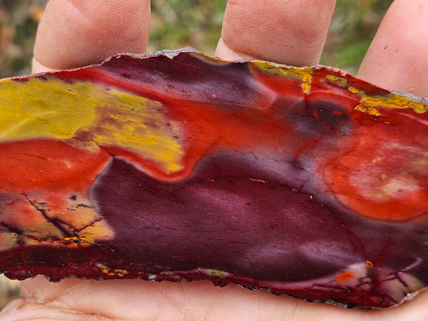 Polished Mookaite slab MK475