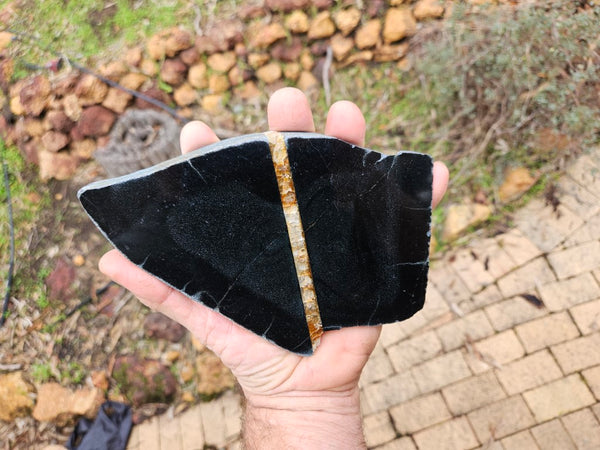 BJ124 Polished "Black Jade"  slab.