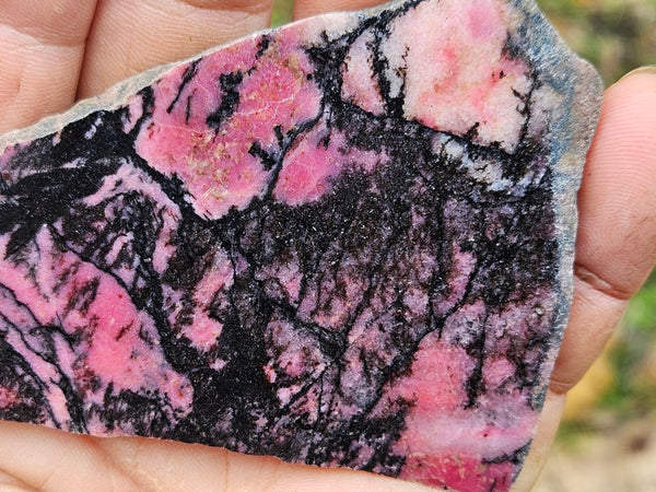 Polished Rhodonite slab RH275