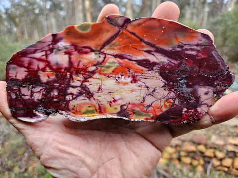 Polished Mookaite slab MK473