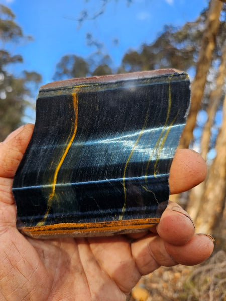 Polished African Tiger Eye slab TEA103