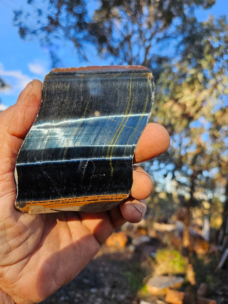 Polished African Tiger Eye slab TEA104