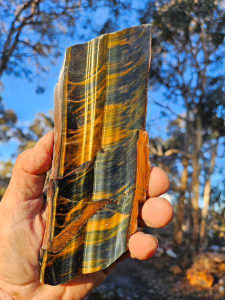 Polished African Tiger Eye slab TEA105