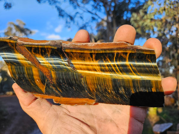 Polished African Tiger Eye slab TEA105