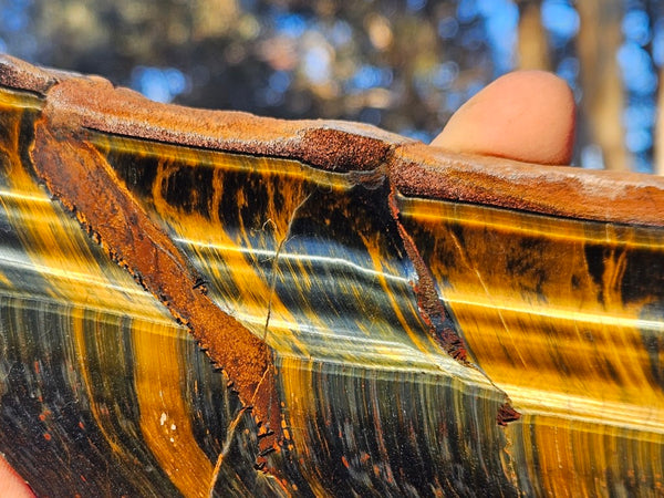 Polished African Tiger Eye slab TEA105