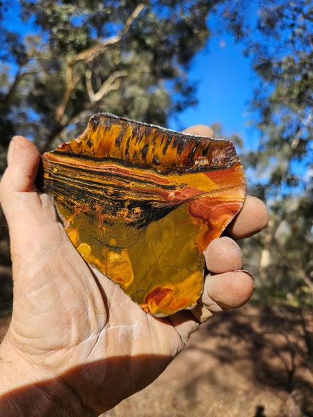 Polished Tiger Eye slab TE405