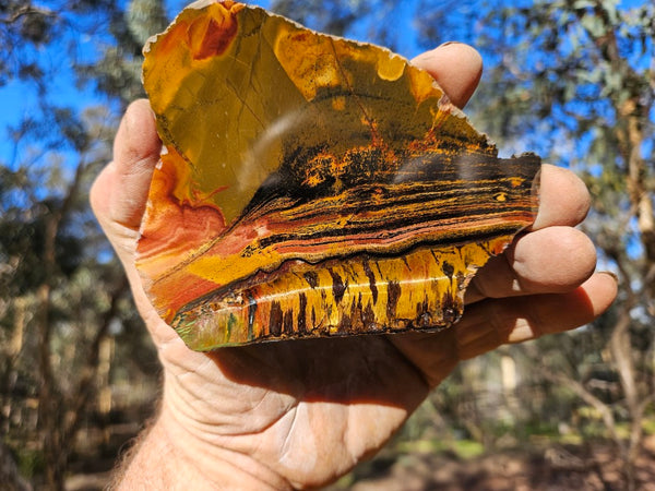 Polished Tiger Eye slab TE405