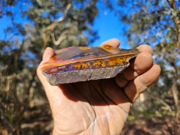 Polished Tiger Eye slab TE405