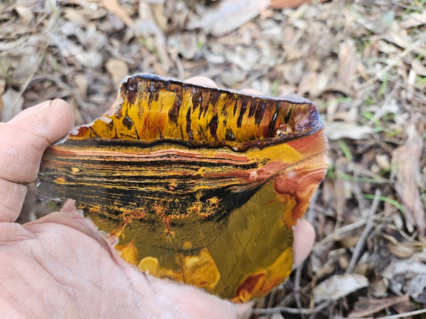 Polished Tiger Eye slab TE405