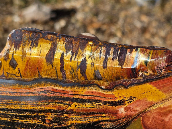 Polished Tiger Eye slab TE405