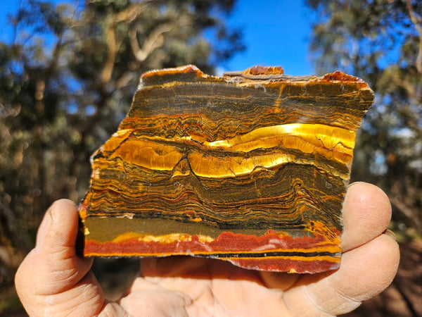 Polished Tiger Eye slab TE402