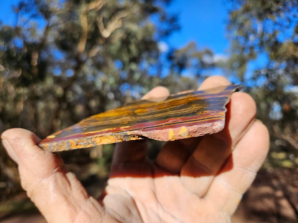 Polished Tiger Eye slab TE402