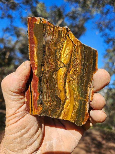 Polished Tiger Eye slab TE402