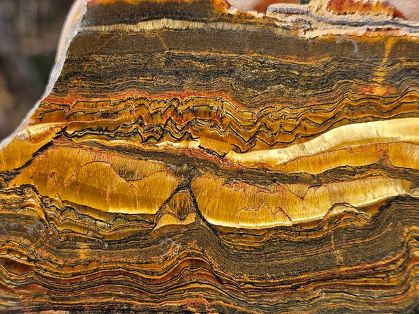 Polished Tiger Eye slab TE402