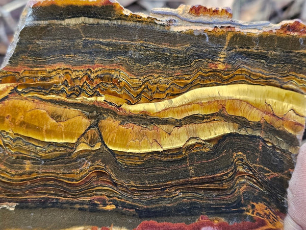 Polished Tiger Eye slab TE402