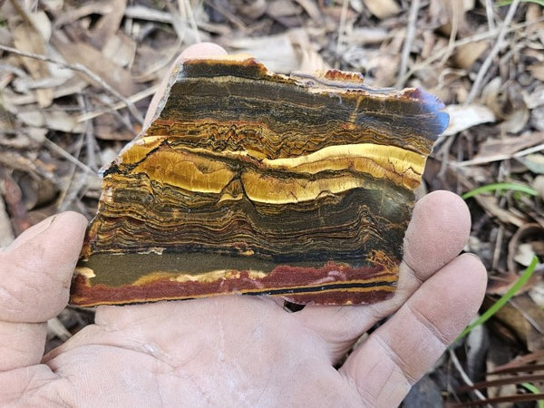 Polished Tiger Eye slab TE402