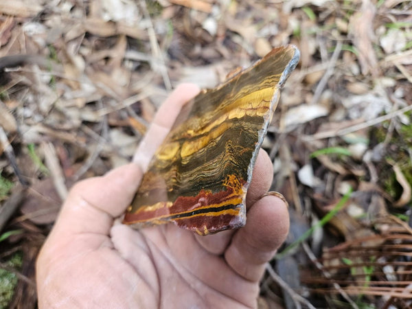 Polished Tiger Eye slab TE402