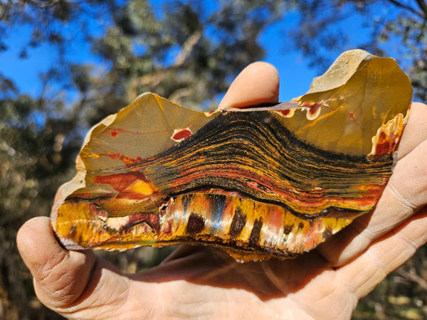 Polished Tiger Eye slab TE406