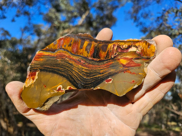 Polished Tiger Eye slab TE406