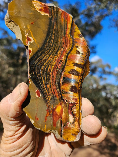 Polished Tiger Eye slab TE406