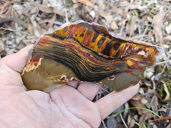 Polished Tiger Eye slab TE406