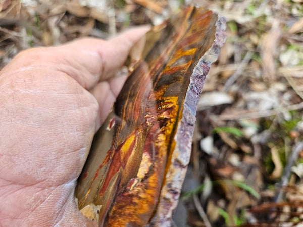 Polished Tiger Eye slab TE406