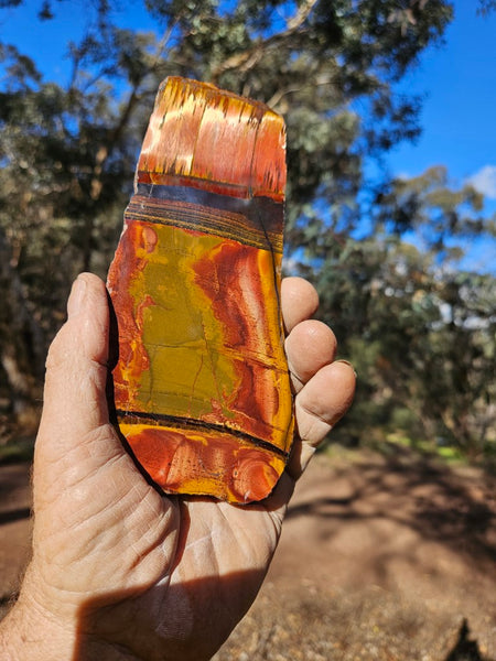 Polished Tiger Eye slab TE407