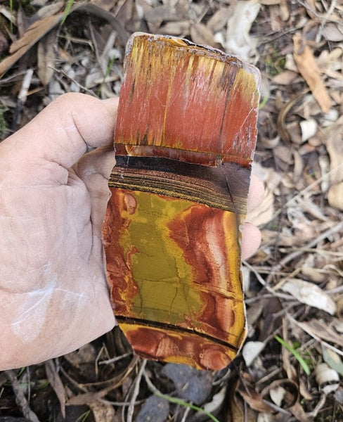 Polished Tiger Eye slab TE407