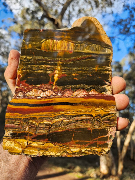 Polished Tiger Eye slab TE403