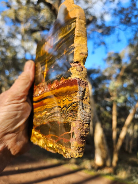 Polished Tiger Eye slab TE403