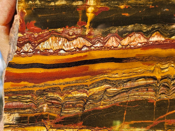 Polished Tiger Eye slab TE403