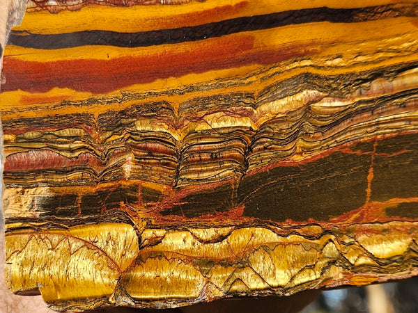 Polished Tiger Eye slab TE403